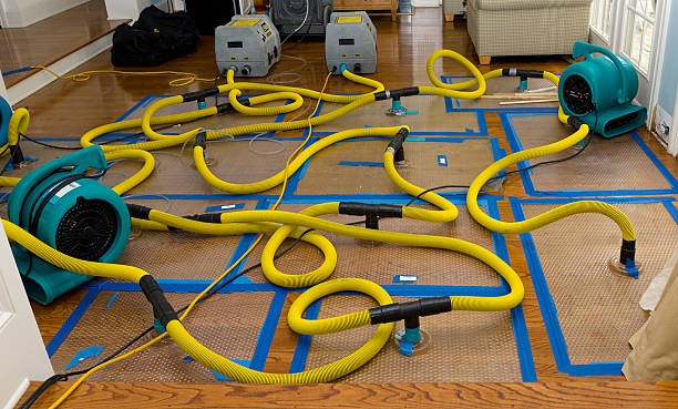 Professional Crawl Space Water Removal technician working in Pahokee, FL